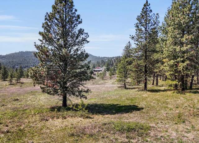 Property at 12XXX S Valley Chapel Rd Lot 2, Valleyford, WA 99036