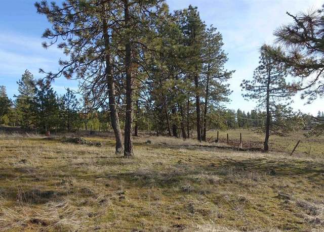 Property at 20xxx S Parker Rd, Spangle, WA 99031