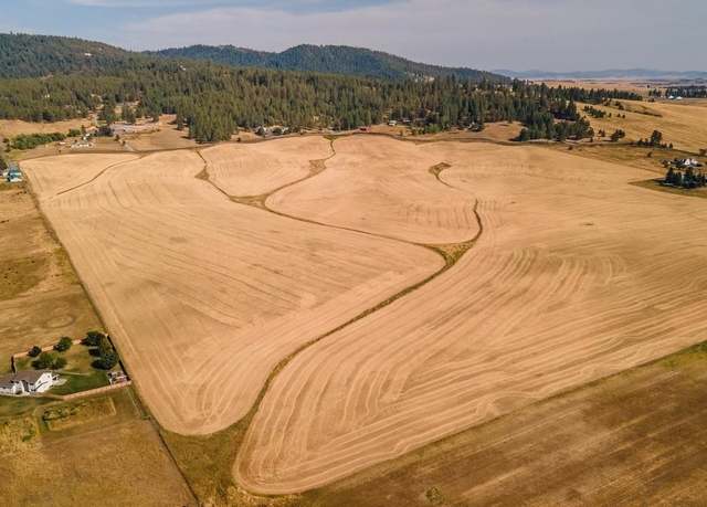 Property at 12206 S Jackson Rd, Mica, WA 99023