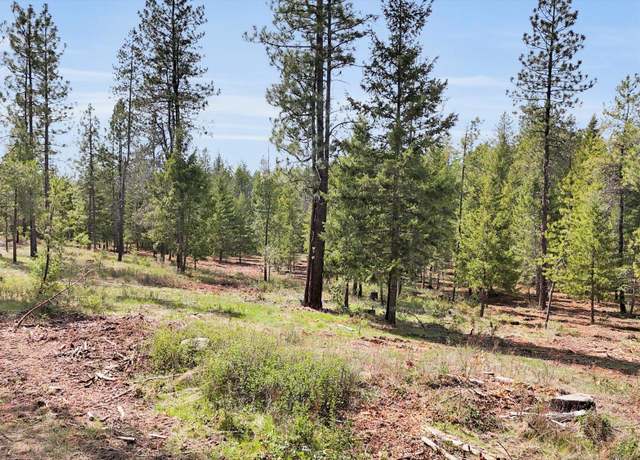 Property at 69XX E Elk Bluff Ln, Elk, WA 99009