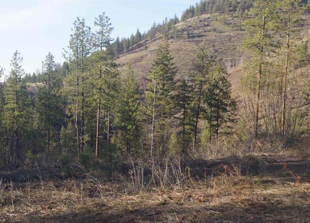 Property at NKA Coyote Canyon Rd, Fruitland, WA 99129