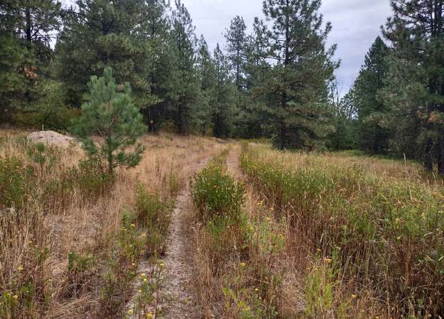Property at XX Little Sweden Rd Lot B, Valley, WA 99181