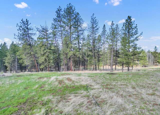 Property at 29xxx N Cedar Rd, Deer Park, WA 99006