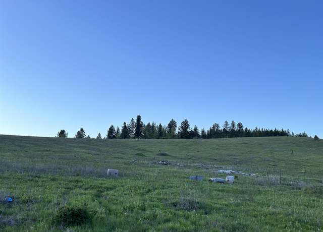 Property at 117XX E Tallman Rd, Chattaroy, WA 99003