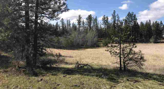 Photo of 00 W 53rd Ave, Spokane, WA 99224