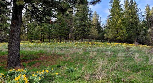 Photo of 6XXX E Big Rock Rd, Spokane, WA 99223