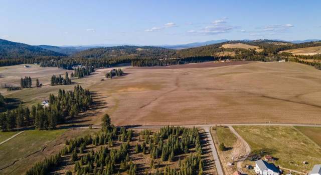 Photo of 13303 E Gibbs Rd, Mica, WA 99023