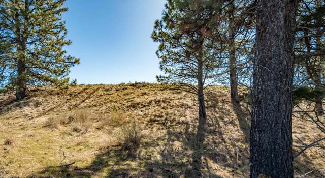 Photo of Lot 9 02315.9029 Unassigned Address, Cheney, WA 99032