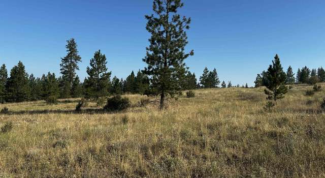 Photo of 36295 SR 231 N, Reardan, WA 99029