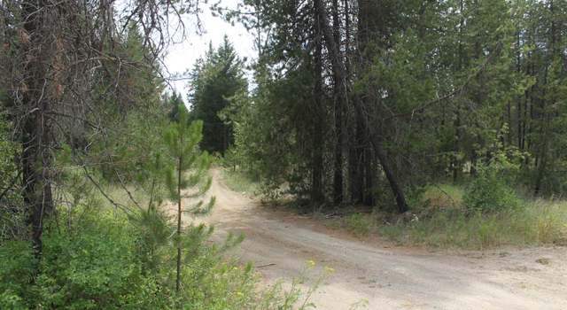 Photo of 93 Buck Creek Rd, Newport, WA 99156