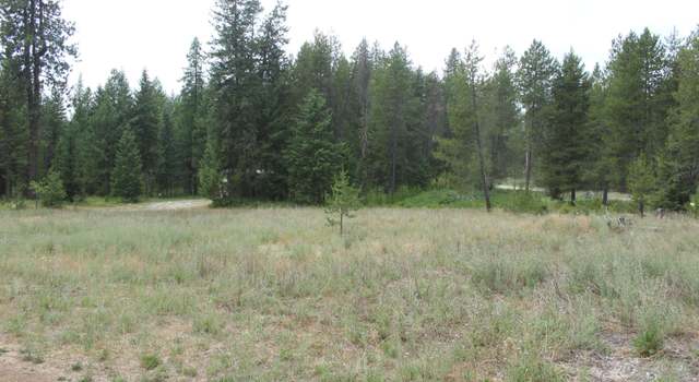 Photo of 93 Buck Creek Rd, Newport, WA 99156