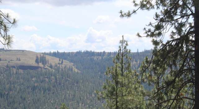Photo of Pine Forest 3 Sontag Ridge Ln, Davenport, WA 99122