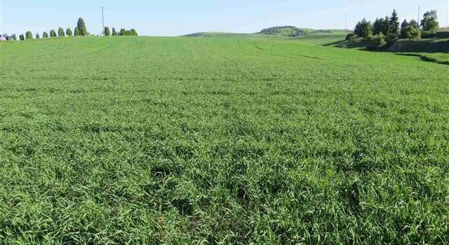 Photo of xxxx S Central St, Reardan, WA 99029