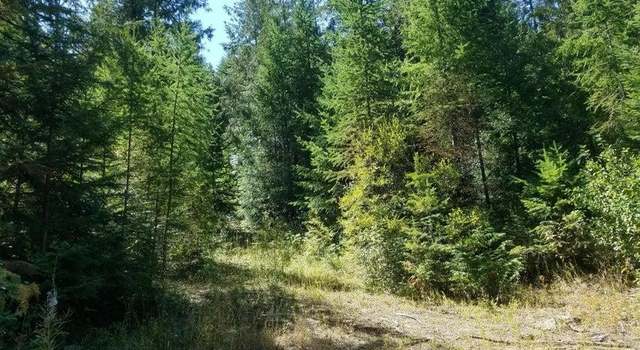 Photo of XX Summit Valley Rd, WA 99101-0000