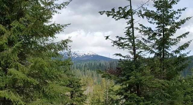 Photo of 203xx E Wallis Rd, WA 99021