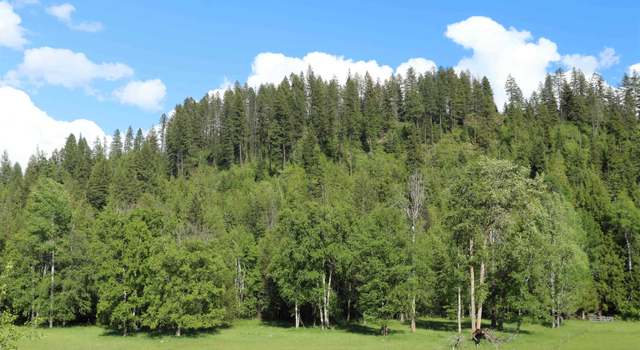 Photo of 16882/16912 Highway 31, Metaline Falls, WA 99153