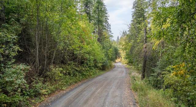 Photo of 109XX Forney Rd, Mica, WA 99023