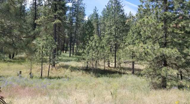 Photo of Lot 4 55XX Rocky Top Way, Deer Park, WA 99006