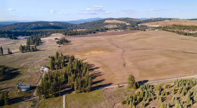 Photo of 13109 E Gibbs Rd, Mica, WA 99023