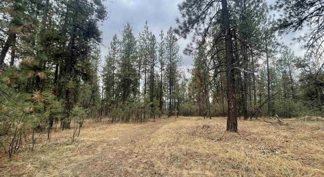 Photo of NKA Rocky Top Way, Deer Park, WA 99006