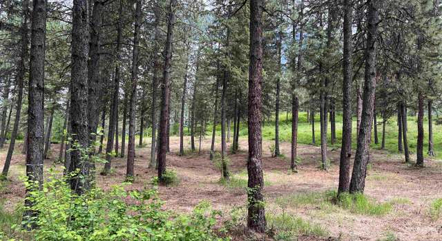 Photo of 5 Bella Coola Dr, Inchelium, WA 99138