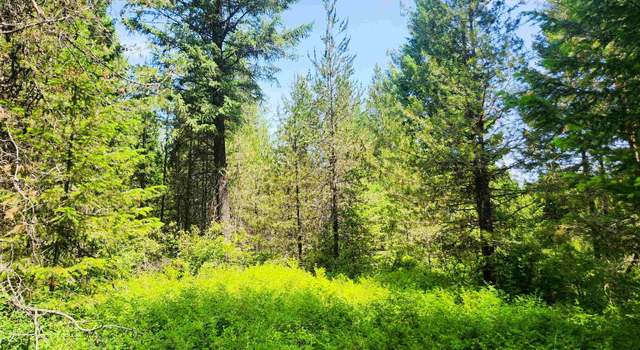 Photo of 4711 X Springdale Hunters Rd, Springdale, WA 99173