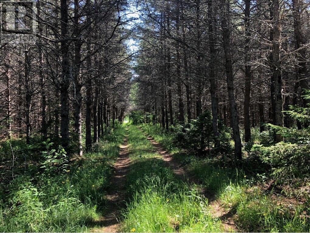 Lot 2 Route 495, St. Fabian, NB E4S 1Z1 | MLS# M136092 | Redfin