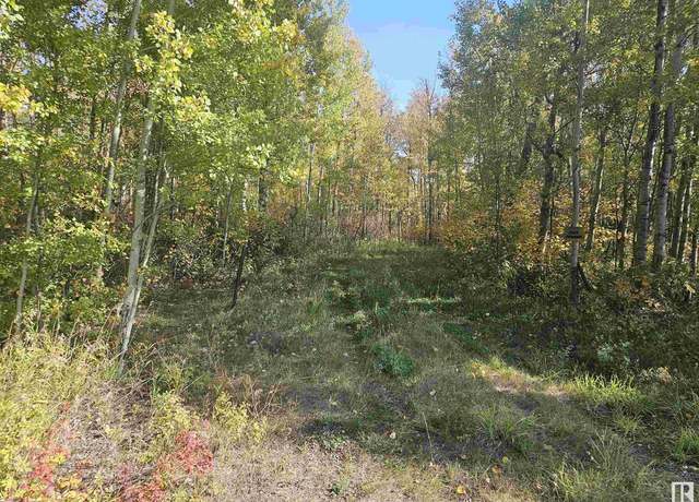 Photo of 22343 Twp Rd 522, Rural Strathcona County, AB T8C 1B6