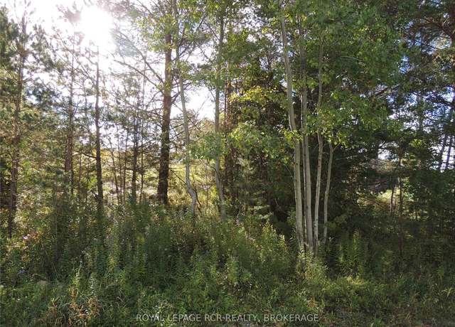 Photo of Lot 90 Highway 10 Rd, Chatsworth, ON N0C 1H0