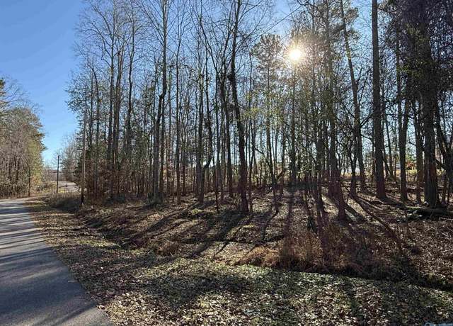 Property at 5 Nancy Cove Rd, Southside, AL 35907