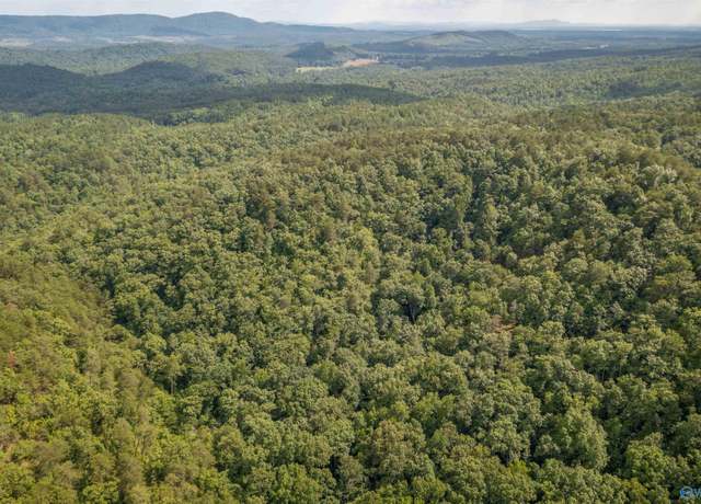 Property at 20 acres County Road 97, Gaylesville, AL 35973