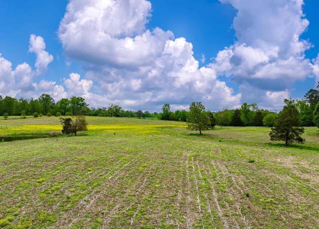 Property at 22 Acres County Road 318, Dawson, AL 35963