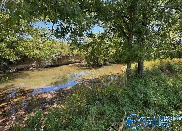 Property at 103.6 Shoal Bluff Rd, Goodsprings, TN 38478