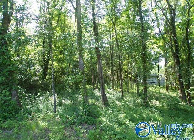Property at .31 Ac Lot Hackberry Ln, Hokes Bluff, AL 35903