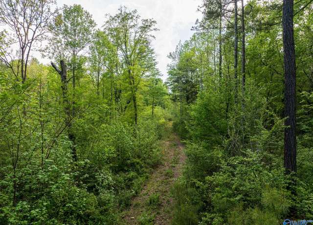 Property at 9.10+ ACRES Pleasant Grove Rd, Horton, AL 35980