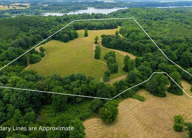 Property at 41 Acres Richter Rd, Rogersville, AL 35652