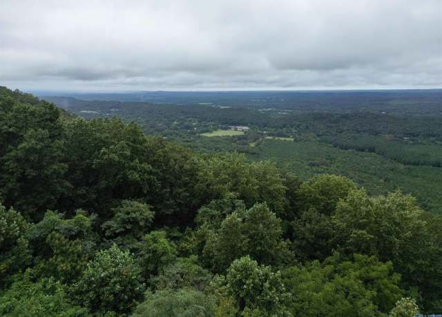 Property at 2.59 ac Scenic Hwy, Mentone, AL 35984