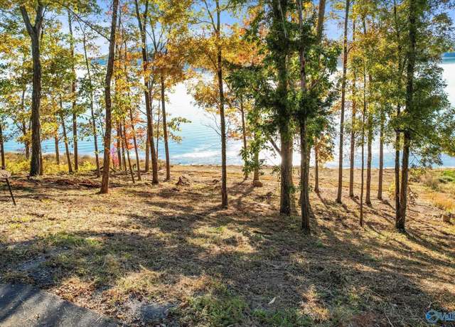 Property at 572 Reserve Dr, Guntersville, AL 35976
