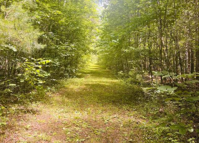 Property at 51.6 acres County Road 127, Gaylesville, AL 35984