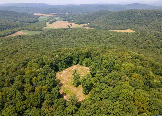 Property at 109 Acres Gurley Dr, Woodville, AL 35776