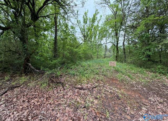 Property at 3810 County Road 59, Moulton, AL 35650