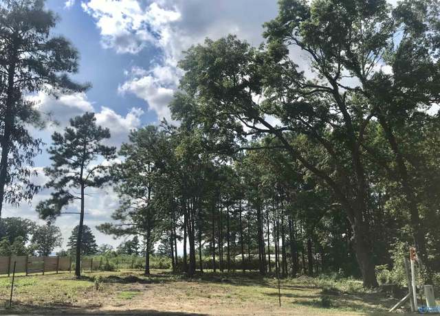 Property at 101 Ryan St, Section, AL 35771