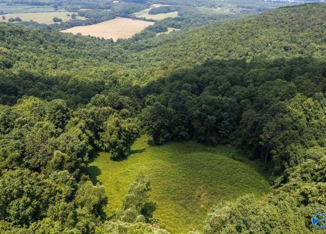Property at 44 Highway 117, Flat Rock, AL 35966