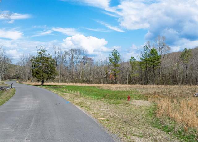 Property at 3.42 County Road 622, Valley Head, AL 35989