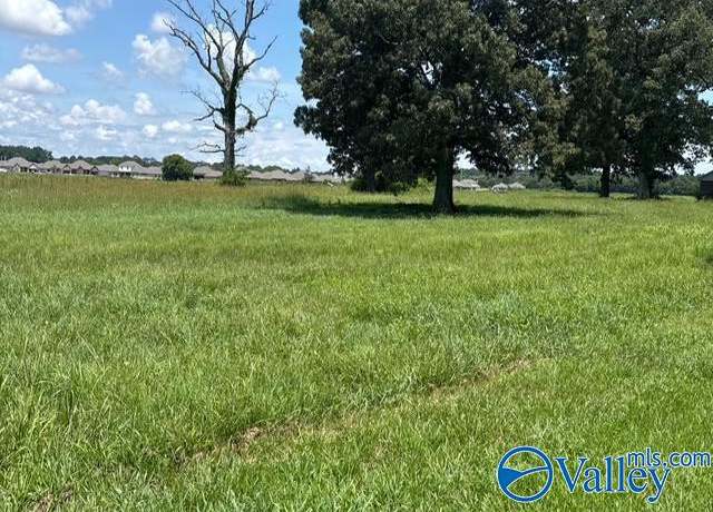 Property at 13.61 ACRES Alabama Highway 251, Toney, AL 35773