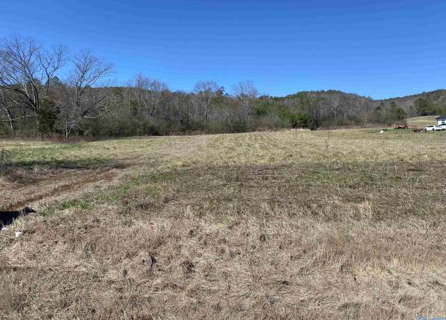 Property at 7001 Hwy 11, Collinsville, AL 35961