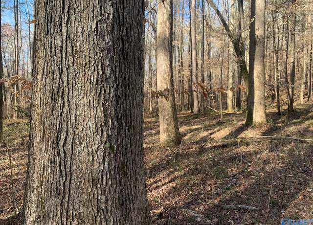 Property at 1500 Burton Loop Rd, Altoona, AL 35952