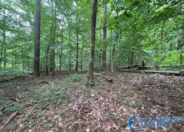 Property at 124 Cedar Ln, Reece City, AL 35954