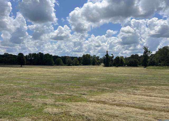 Property at 22 acres County Road 125, Moulton, AL 35650