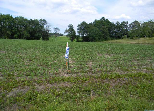 Property at Lot 3 County Road 40, Centre, AL 35959